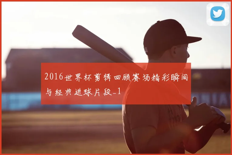 2016世界杯剪辑回顾赛场精彩瞬间与经典进球片段_1